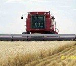CASE-2166-AFS